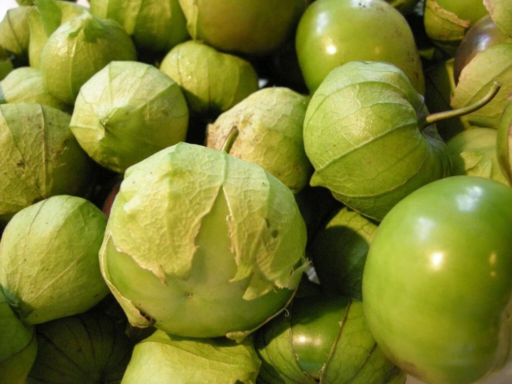 Tomatillo Verde Seeds - Heirloom Green Husk Variety for Salsa, Cooking, Home Garden, Physalis philadelphica