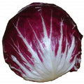 Radicchio Seeds 100 Count Rouge de Verona Organic Vegetable Seeds for Italian Cuisine, Cichorium intybus var. foliosum