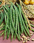 Blackeye Pea Seeds - Heirloom Vigna unguiculata Legumes for Garden, Farm, 15-500 Seeds