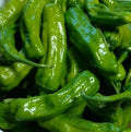 Italian Pepperoncini Pepper Seeds – Capsicum annuum, Mild Heat, 30+ Seeds for Garden & Culinary Use