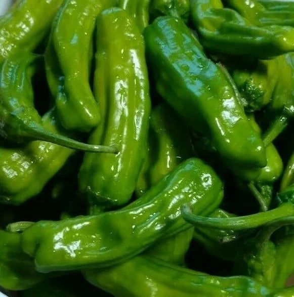 Italian Pepperoncini Pepper Seeds – Capsicum annuum, Mild Heat, 30+ Seeds for Garden & Culinary Use