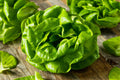 Buttercrunch Lettuce Seeds - Non-GMO Heirloom Lactuca sativa for Salad and Container Gardening, 1100+ Seeds