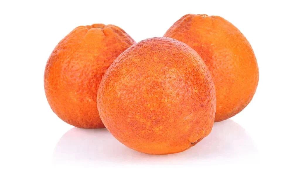 Moro Blood Orange Seeds Pack – Citrus sinensis Fruit Tree for Garden Planting, USA Grown, Fast Shipping
