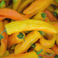 Corno Di Toro Giallo Pepper Seeds – 30+ Italian Sweet Capsicum annuum for Garden, Heirloom, Non-GMO, Rare Variety