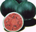 Watermelon Seeds 100 Count, Sugar Baby Heirloom, Non-GMO Citrullus lanatus, Small Fruit, Garden & Container Planting