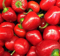 Pimento Pepper Seeds 50+ Sweet Variety for Garden, Capsicum annuum, Perfect for Pickling and Cooking