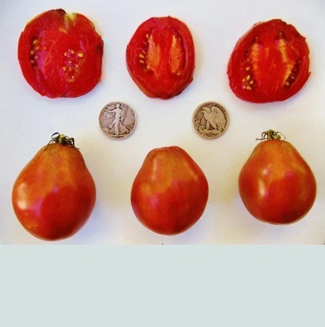 Japanese Black Trifele Tomato Seeds - Heirloom, Pear-Shaped, Rich Flavor, Solanum lycopersicum, 25 Seeds
