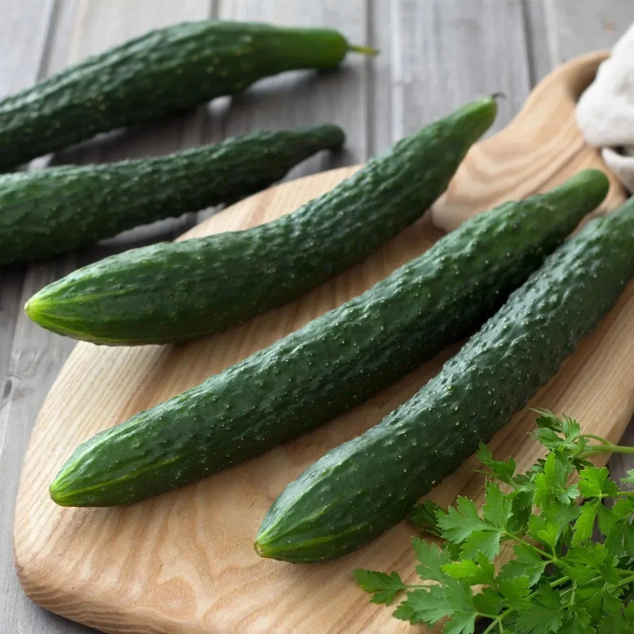 Suyo Long Cucumber Seeds - Organic Heirloom Non-GMO, 50+ Cucumis sativus, Long, Crisp, Perfect for Salads & Pickling