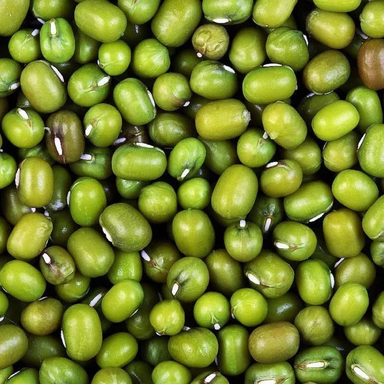Mung Bean Seeds - 50+ Count - Vigna radiata - Green Beans for Planting 2025 - Non-GMO, Easy to Grow, High Yield