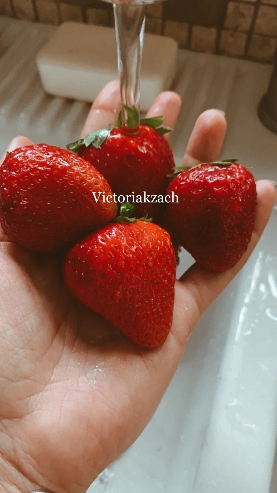 Organic Strawberry Seeds Pack of 100 Fragaria × ananassa for Home Garden, Edible Garden, Container Growing