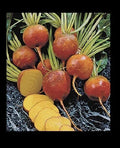 Golden Beet Seeds - Heirloom Bulk Pack - Beta vulgaris - Edible, Nutrient-Rich, Fast-Growing, Golden Color