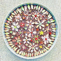 Succulent Leaves Collection – 50 Varieties of Echeveria & Sedum Cuttings with 5 Free Propagation Leaves