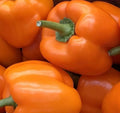Orange Bell Pepper Seeds - Non-GMO, Sweet Capsicum annuum for Vegetable Garden, 30+ Seeds
