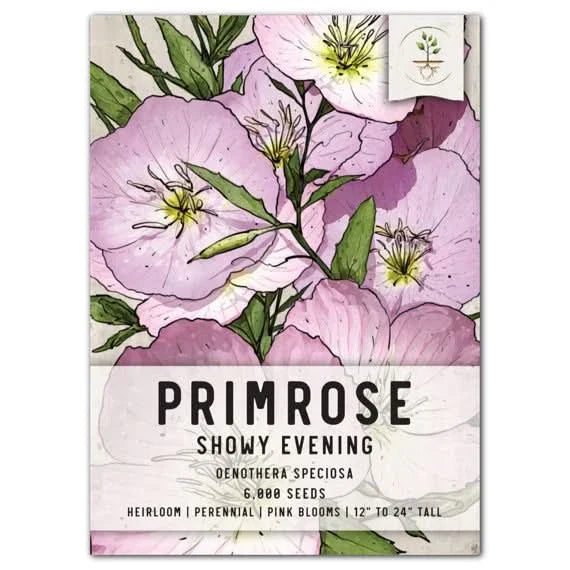 Showy Evening Primrose Seeds - Oenothera speciosa - Colorful Wildflower Seeds for Native Perennial Garden Planting