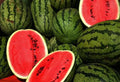 Kleckley's Sweet Watermelon Seeds - Heirloom, Large, Super Sweet Citrullus lanatus, 100+ Seeds for Home Garden, Summer Fruit, Juicing