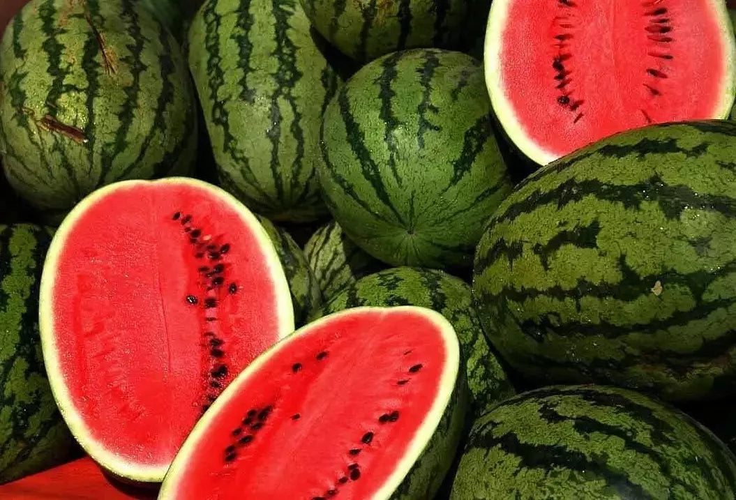 Kleckley's Sweet Watermelon Seeds - Heirloom, Large, Super Sweet Citrullus lanatus, 100+ Seeds for Home Garden, Summer Fruit, Juicing