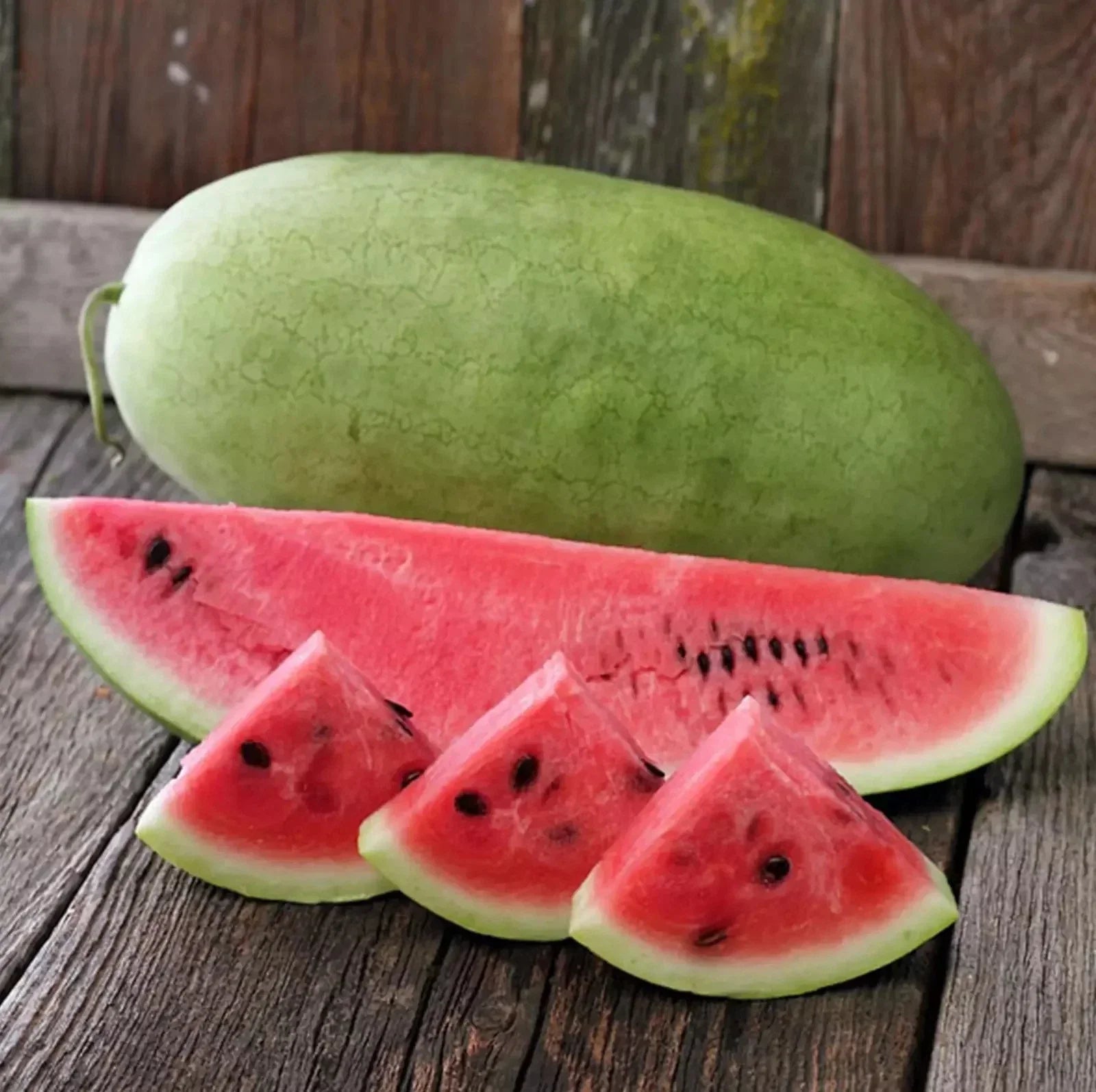 Charleston Grey Watermelon Seeds - Organic Non-GMO Heirloom Citrullus lanatus for Large, Juicy Watermelons