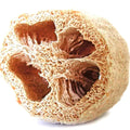 Loofah Seeds - Heirloom Luffa aegyptiaca Vegetable & Natural Sponge - Non-GMO Garden Seeds, Climbing Vine, Full Sun, 10 Pack