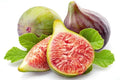 Celeste Fig Seeds - 100+ Ficus carica 'Celeste' for Garden Planting, Fruit, Home Grown, Non-GMO, USA Grown