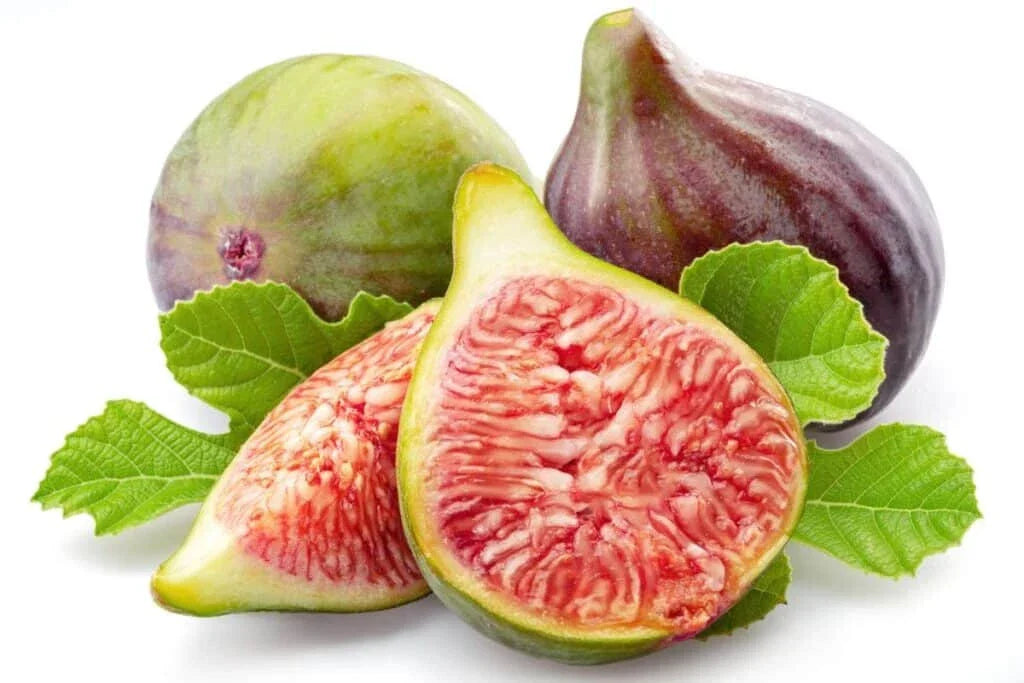 Celeste Fig Seeds - 100+ Ficus carica 'Celeste' for Garden Planting, Fruit, Home Grown, Non-GMO, USA Grown