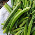 Perkins Long Pod Okra Seeds - Heirloom Non-GMO Abelmoschus esculentus for Home Gardening, Vegetable Seeds, Bountiful Harvest