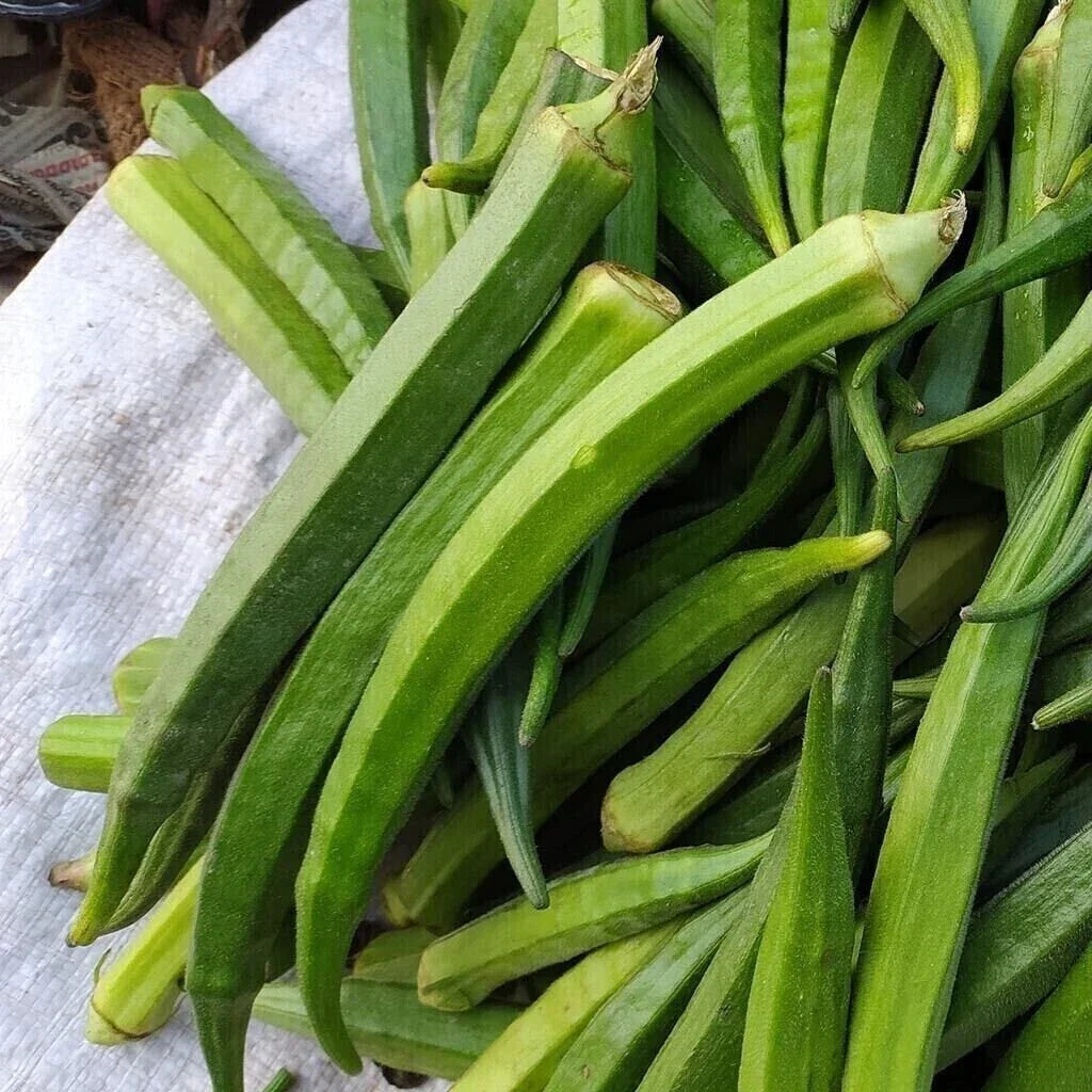 Perkins Long Pod Okra Seeds - Heirloom Non-GMO Abelmoschus esculentus for Home Gardening, Vegetable Seeds, Bountiful Harvest