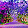 Jacaranda Fern Tree Seeds - Mimosifolia acutifolia - Tropical Blue Flowers for Garden & Landscaping