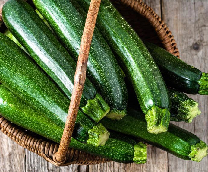 Dark Green Zucchini Squash Seeds - 20+ Italian Courgette Cucurbita pepo Vegetable Seeds for Home Garden