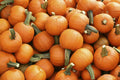 Sugar Pie Pumpkin Seeds 20 Ct Non-GMO Cucurbita pepo Vegetable Garden Seeds for Cooking & Baking