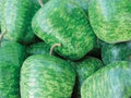Large Apple Gourd Seeds – Lagenaria siceraria – Vining Annual for Decorative Crafts and Planting