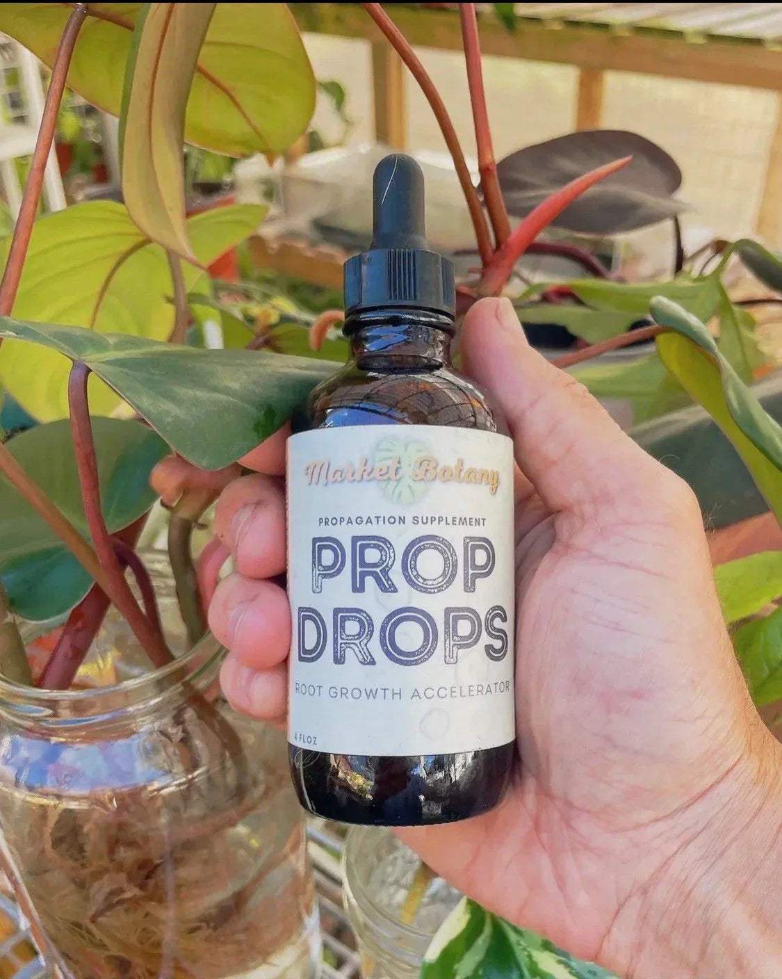 Propagation Plant Drops - Liquid Root Growth Enhancer for Indoor Plants, Plant Propagation Solution