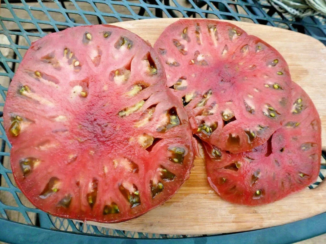 Organic Cherokee Purple Tomato Seeds – Heirloom Solanum lycopersicum for Garden & Container Growing