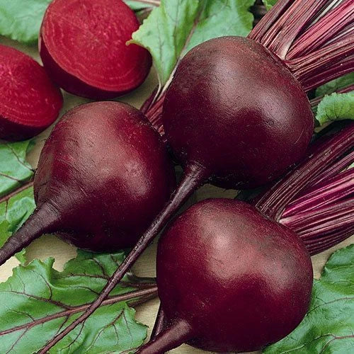 Detroit Dark Red Beet Seeds – Organic Non-GMO Open Pollinated Beta vulgaris, 150+ Seeds for Home Garden, Rich Flavor