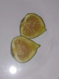 Italian Honey Fig Cuttings - Ficus carica 'Lattarulla' - Cold Hardy, High-Yielding, 5 Pack for Garden or Container Planting