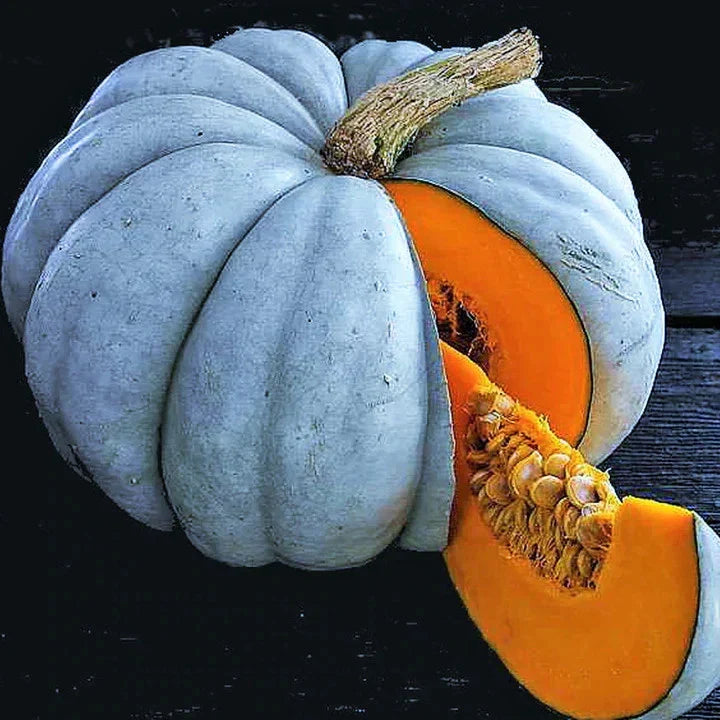 Jarrahdale Blue Pumpkin Seeds - 30+ Pack, Winter Squash, Cucurbita maxima, Blue-Gray Skin, Edible Flesh, Gardening Seeds