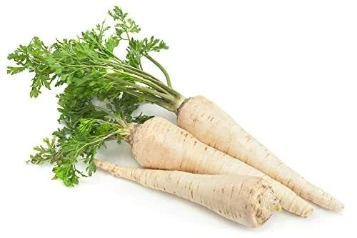 All American Parsnip Seeds - 250+ Non-GMO Pastinaca sativa Root Vegetable for Fall & Winter Harvest