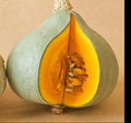 Blue Hubbard Winter Squash Seeds - Heirloom Cucurbita maxima, 10-400 Seeds, Blue-Gray Skin, Large Fruits for Baked Goods & Soups