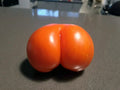 Weird Ass Tomato Seeds - 50+ Heirloom Non-GMO Tomato Varieties for Garden Planting - Solanum lycopersicum