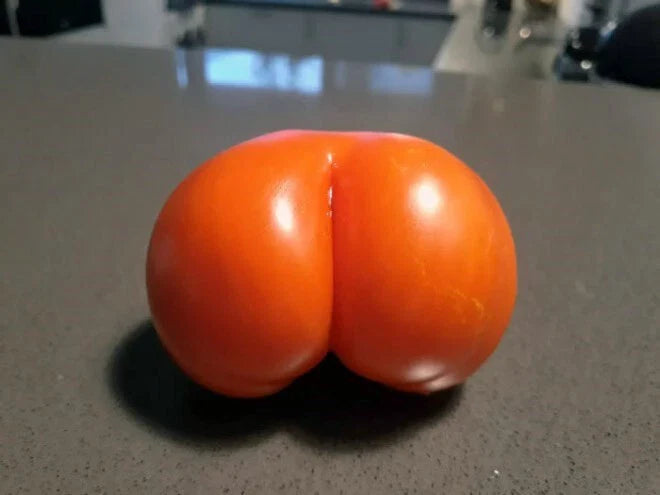 Weird Ass Tomato Seeds - 50+ Heirloom Non-GMO Tomato Varieties for Garden Planting - Solanum lycopersicum