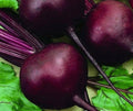 Beet Seeds 100+ Detroit Dark Red Non-GMO Beta vulgaris Garden Vegetable Seed Packet