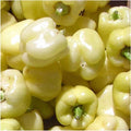 White Bell Sweet Pepper Seeds – 20+ Non-GMO Capsicum Annuum Vegetable for Garden, Full Sun, Easy to Grow