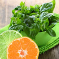 Lime Basil Seeds - 100 Pack - Citrus Aroma - Gourmet Cooking - Ocimum basilicum var. citriodorum
