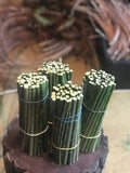 Black Willow Cuttings 12 Unrooted Salix Nigra for Bonsai & Ornamental Trees