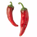 NuMex Joe E Parker Hot Pepper Seeds | Non-GMO Heirloom Capsicum annuum | Spicy Garden Seeds for Cooking & Growing