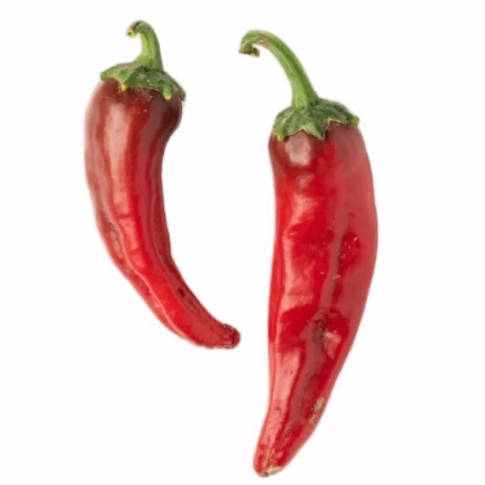 NuMex Joe E Parker Hot Pepper Seeds | Non-GMO Heirloom Capsicum annuum | Spicy Garden Seeds for Cooking & Growing