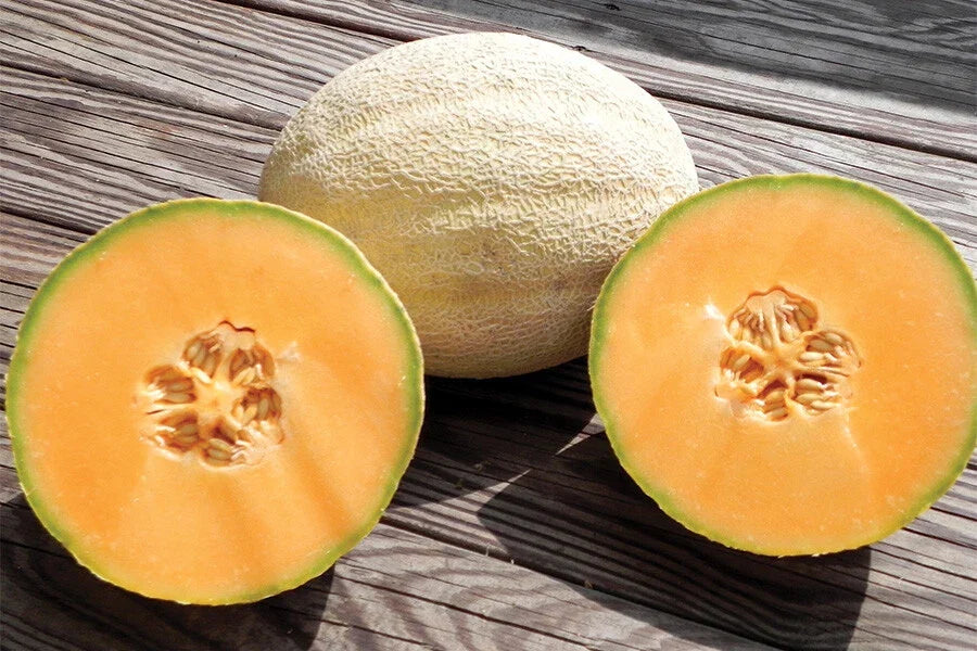 Cantaloupe Seeds - Cleopatra Variety - Fresh Cucumis melo Melon Seeds for Planting, Home Garden, Bounty of Juicy Melons