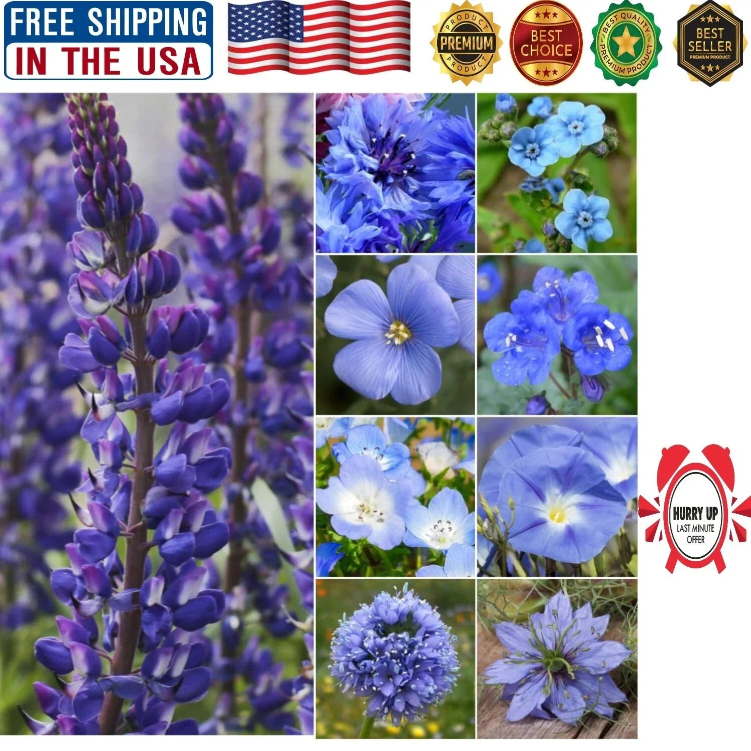 Wildflower Seed Mixture - 30,000 Blue Wildflower Seeds for Pollinator Gardens, Summer Landscape, Biodiversity