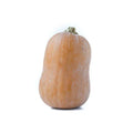 Honeynut Squash Seeds - 25+ Pack, Cucurbita moschata, Non-GMO, Open-Pollinated, for Home Garden & Container Planting