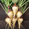 Rutabaga Seeds Pack - 500+ Helenor Variety for Gardening - Brassica napus - Non-GMO, Full Sun, Easy to Grow