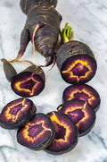 Black Nebula Carrot Seeds - Organic Non-GMO Heirloom Variety - Daucus carota - 100+ Seeds for Home Garden